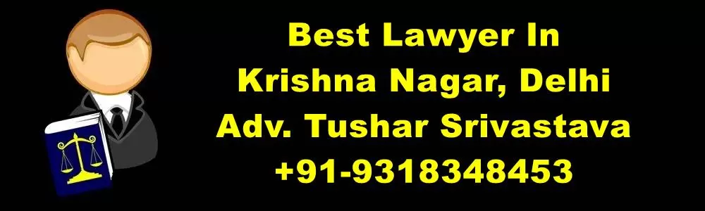 Best Lawyer In Krishna Nagar