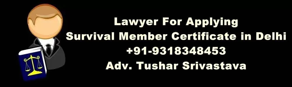Lawyer For Applying Survival Member Certificate in Delhi