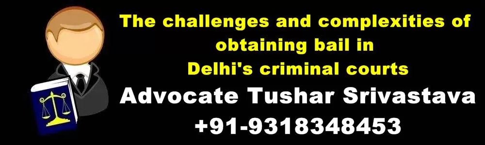 The challenges and complexities of obtaining bail in Delhi's criminal courts