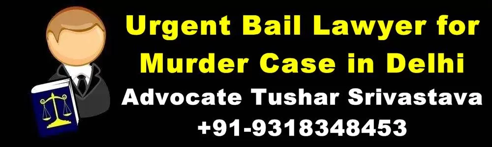 Bail Lawyer for Murder Case in Delhi