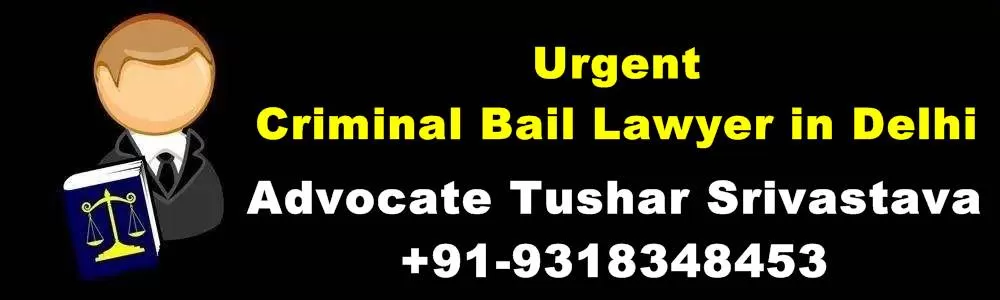 Lawyer for bail in criminal offence in delhi